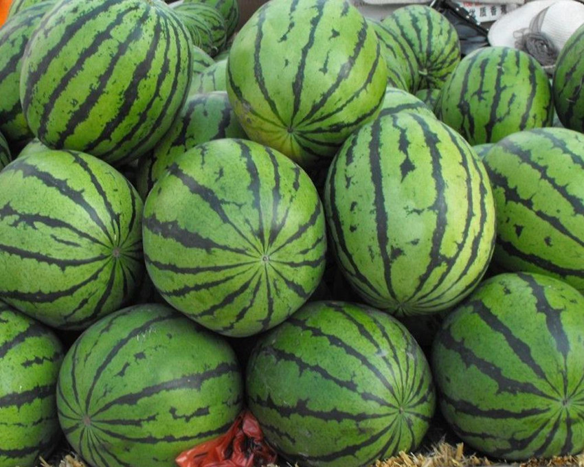 关于清凉消暑的诗词,夏日消暑诗词每一句都很清凉