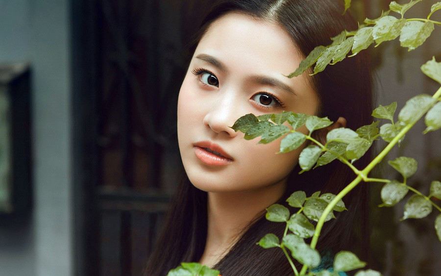 盘点家乡明星,家乡的明星都有哪些