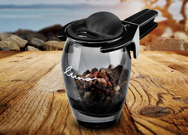 汽车中毒是怎么回事,汽车中毒什么意思