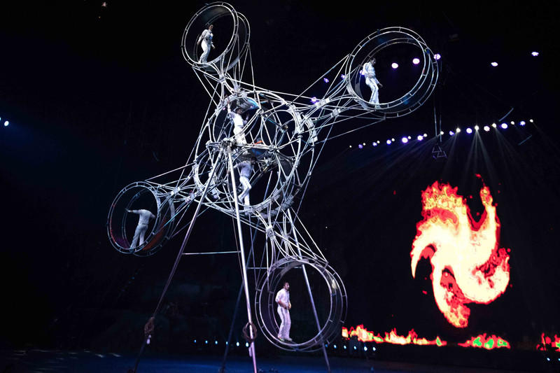 玩转广州长隆野生动物世界之行,广州长隆动物世界游玩攻略图