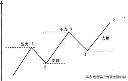 星雅龙深度分析,星雅龙课程怎么样