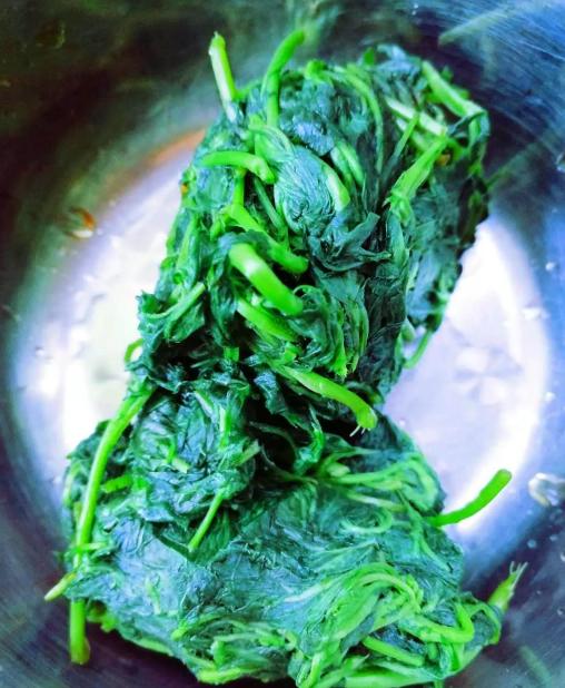 有一定的药用价值,不为人知的它药用价值很高