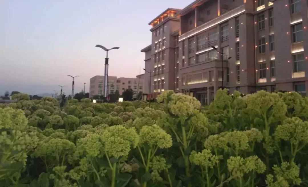 2019西北民族大学预科,高考志愿西北民族大学