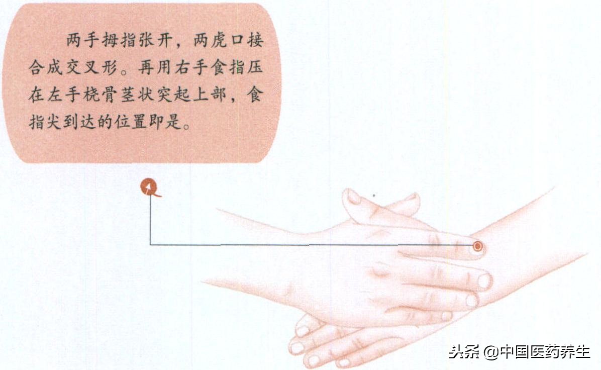 过敏性鼻炎揉按哪个穴最快,鼻炎的取穴和配穴