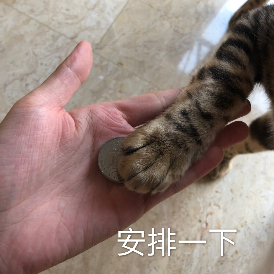 拒绝只敢露脸的“假精致”,夏季身体护理干货(上)