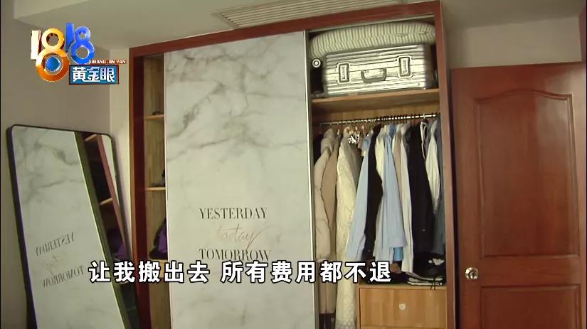 养了十多天的猫损失了几万元,偷偷养只猫最后全军覆没