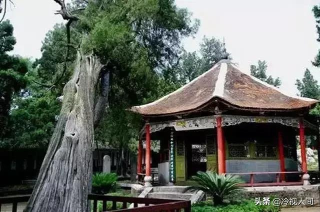 南阳怎样？看完你也会说“中！中！中！”