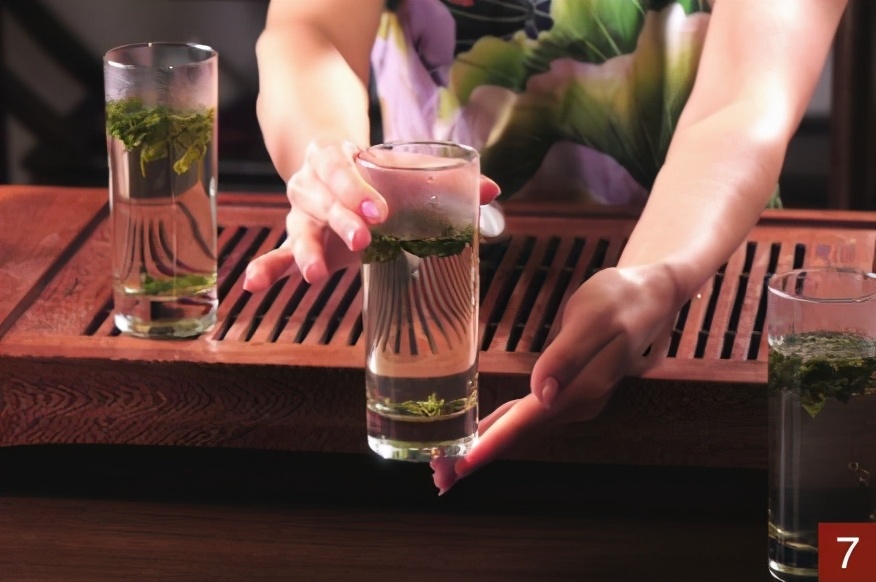 六安瓜片的茶艺,六安瓜片表演