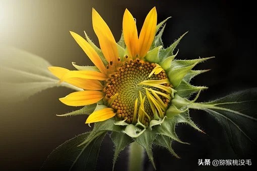 和老婆吵架要离婚了该怎么办,和媳妇吵架动手了要离婚怎么挽回