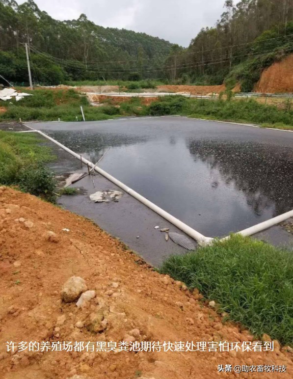 养殖废水浓缩处理方法,小型养殖场废水处理方案