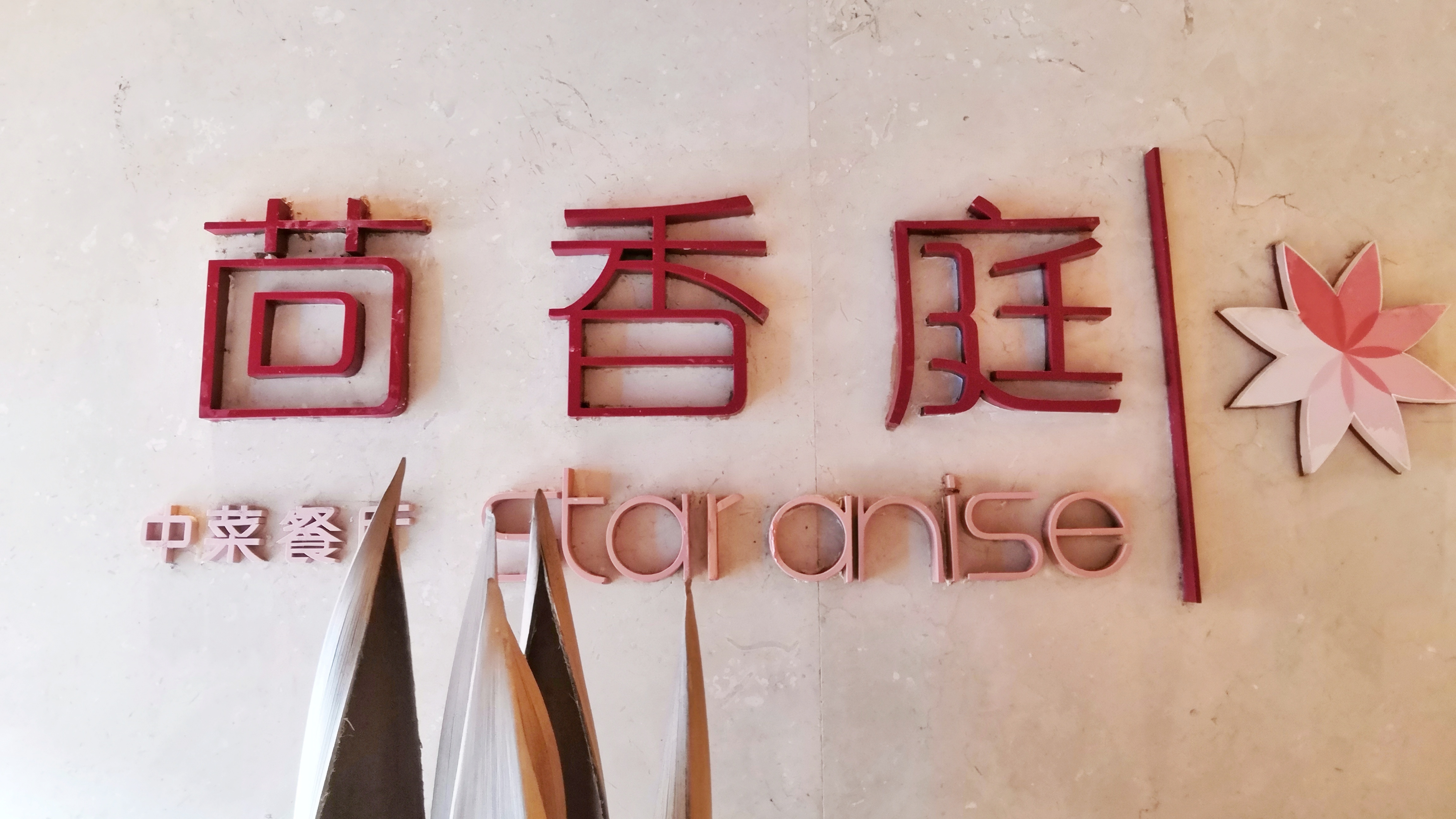 都是网红惹的祸,都是网红惹的祸完整版