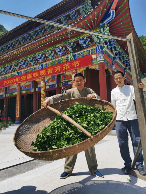 匠心制作成就一壶好茶,——300年传承工艺,魏十八登陆电商茶急送