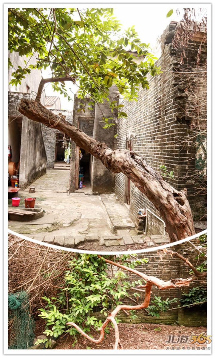 高德往事：重返旧时光，探索李桃栏深院大宅不为人知的过往