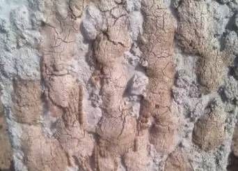 果树保花保果及病虫害防治用药,防治果树病虫害什么时候打药最好