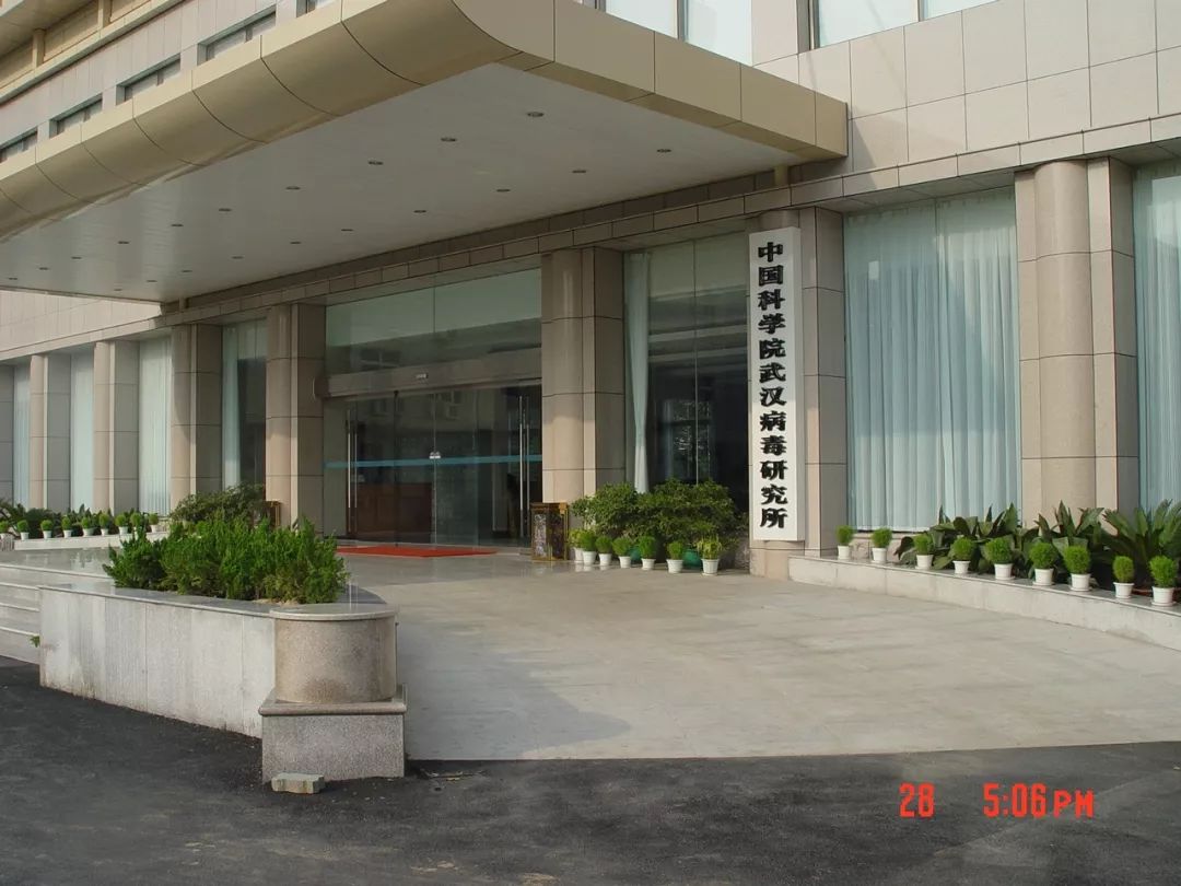 清浊之辩：陷入5大流言漩涡的武汉病毒所