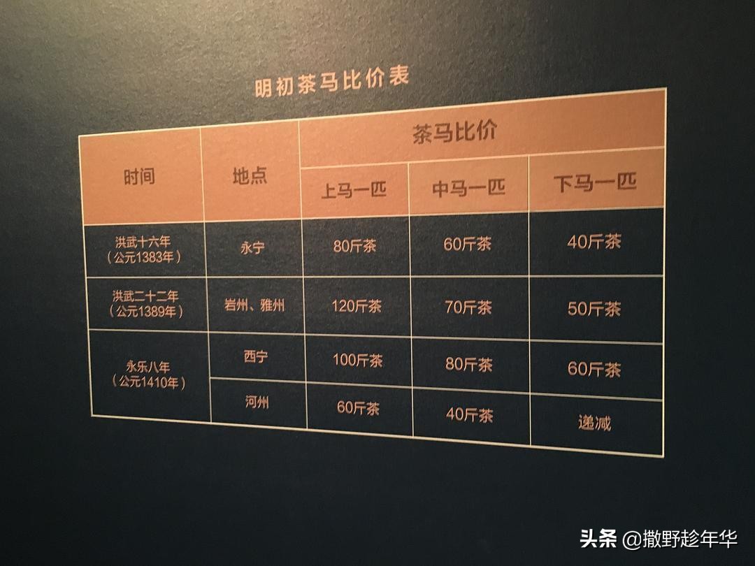 山宗·水源·路之冲|一带一路中的青海