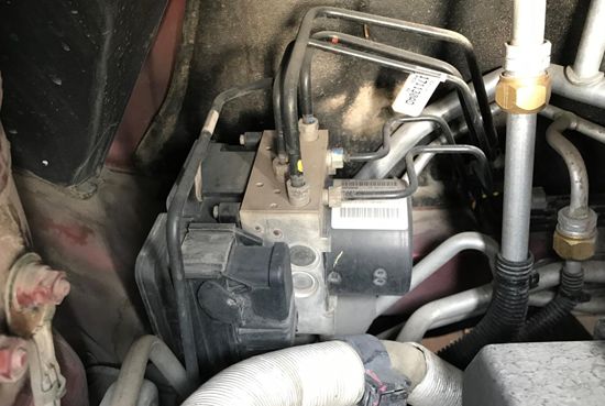 纯美系车羊头,进口美系羊头价格