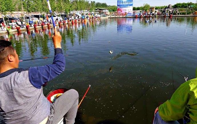 钓友家里有多少渔具,钓友家中渔具收纳