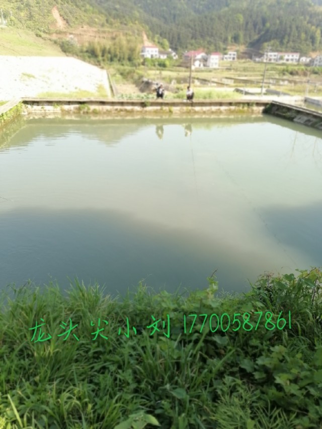 长沙周边农家乐景点推荐,长沙农家乐哪里好玩