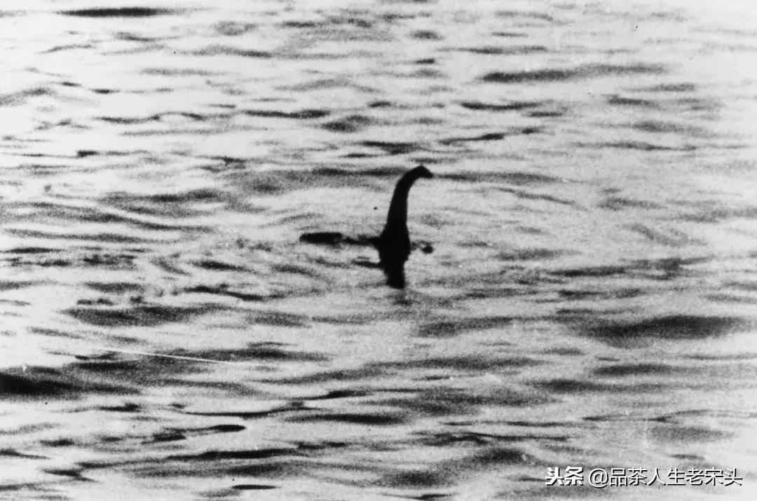 最新世界十大“怪”,最后一个太绝了!