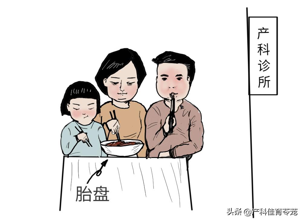 胎盘的营养和功效,没那么神