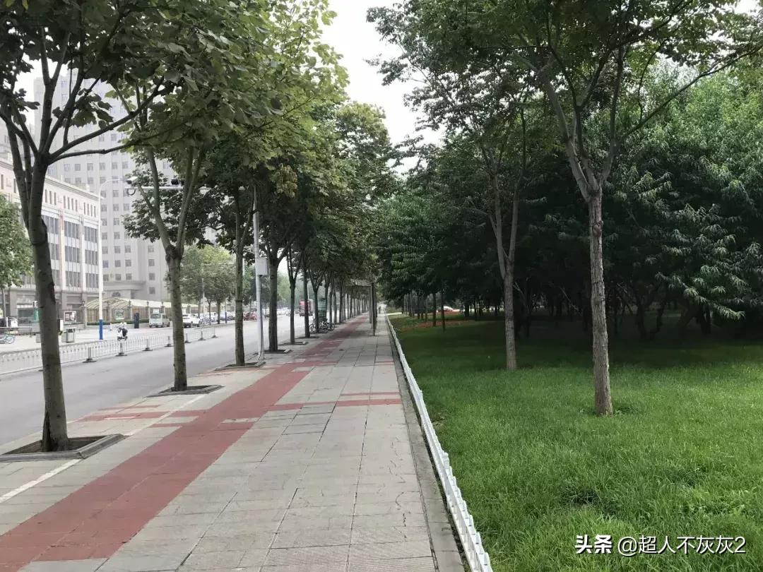 石家庄调研工作,石家庄高新区2024年发展规划