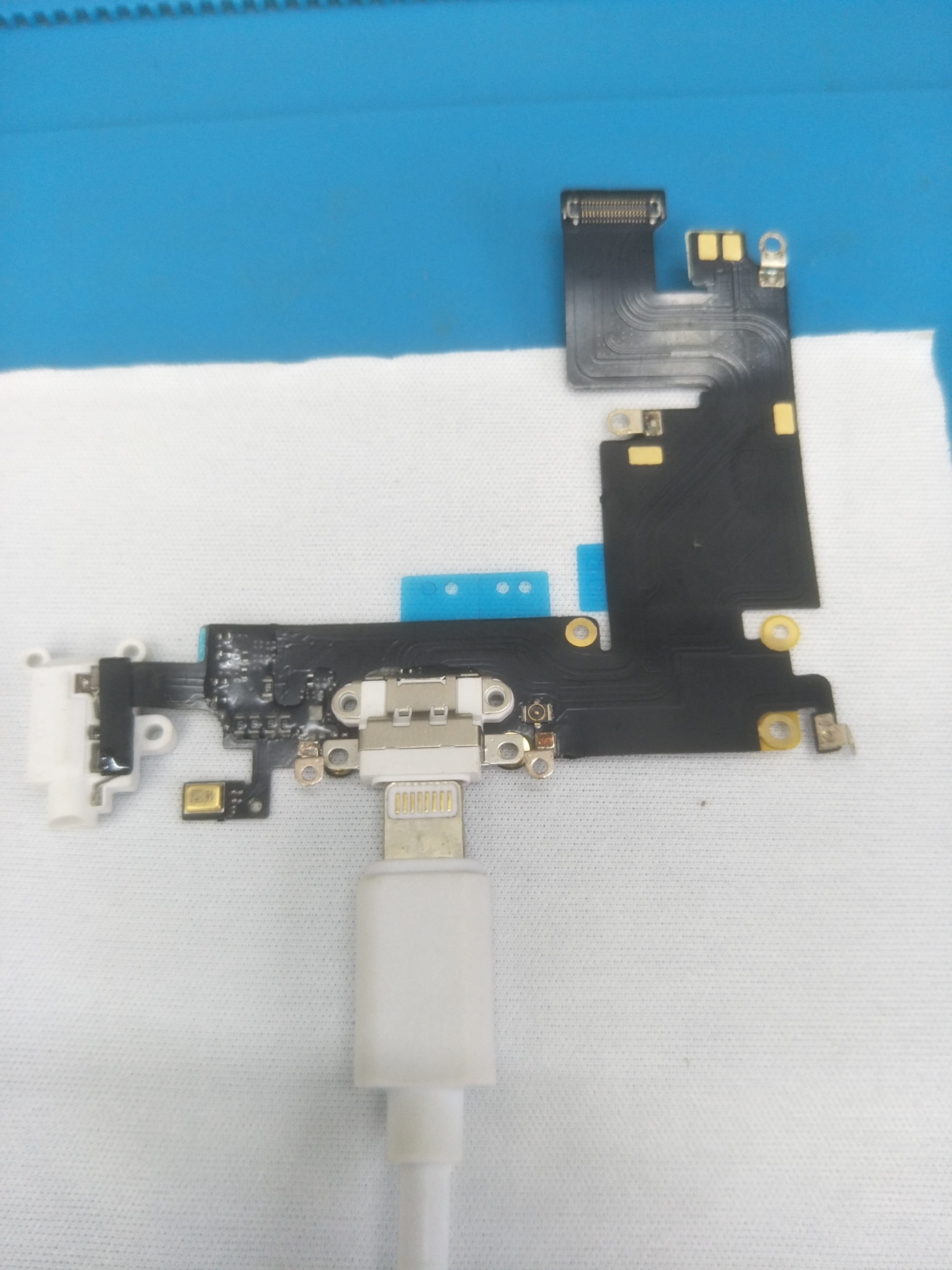 *窥偷**苹果6s“菊花”(尾插)的秘密