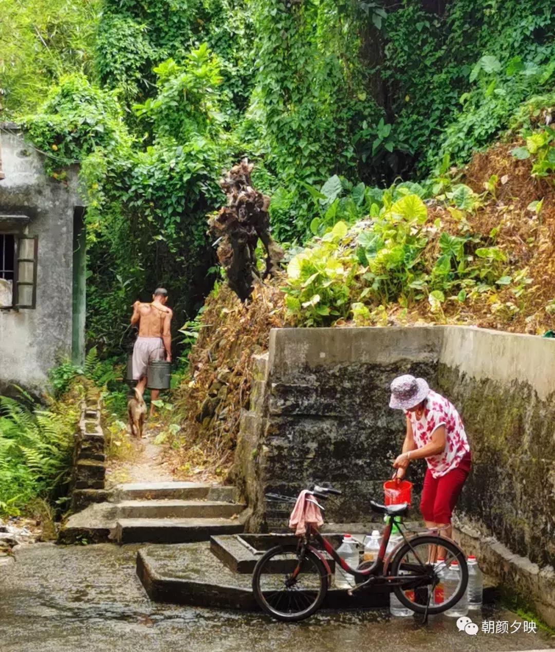 岐阳梧桐起凤环，鹭兮鹭兮寻不见（上）