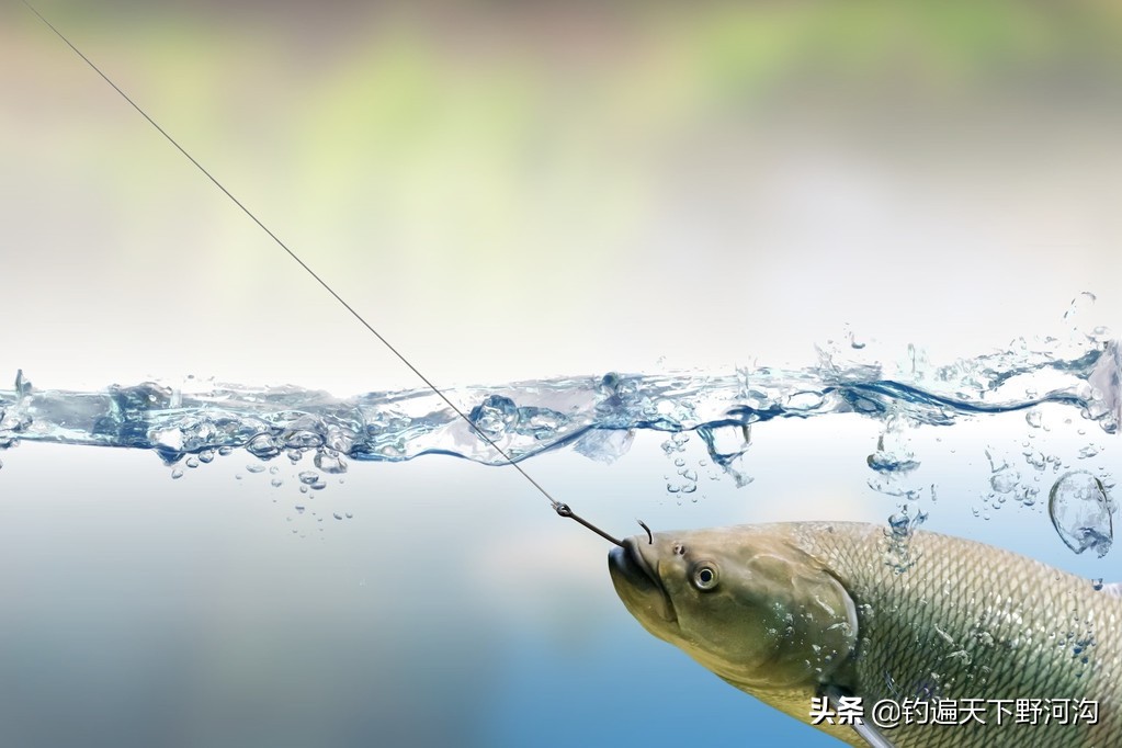 常用鱼钩怎么选择型号图解,鱼钩的种类和型号有哪些如何选择