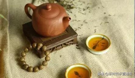 人参九宝茶的功效和禁忌,凤凰单枞茶的功效与禁忌