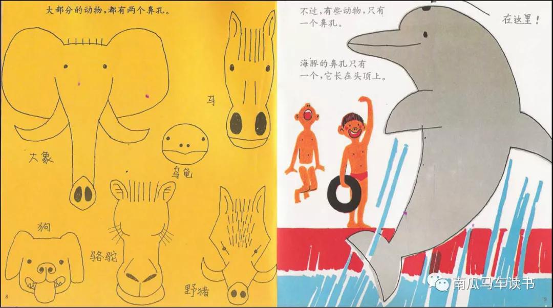 关于五官的绘本故事教案,大班绘本鼻孔的故事教案