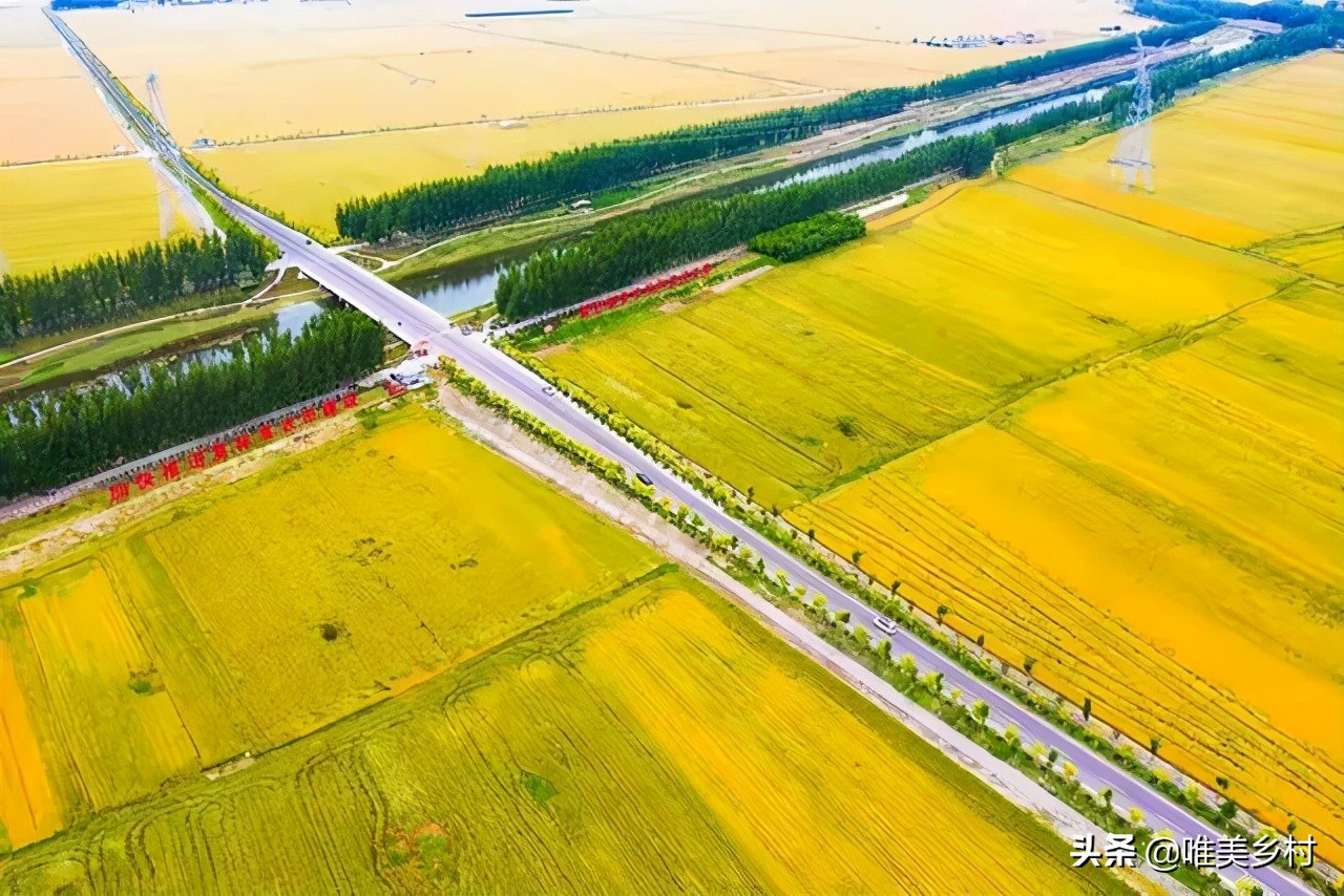 农民放弃耕种,农民放弃种地什么原因