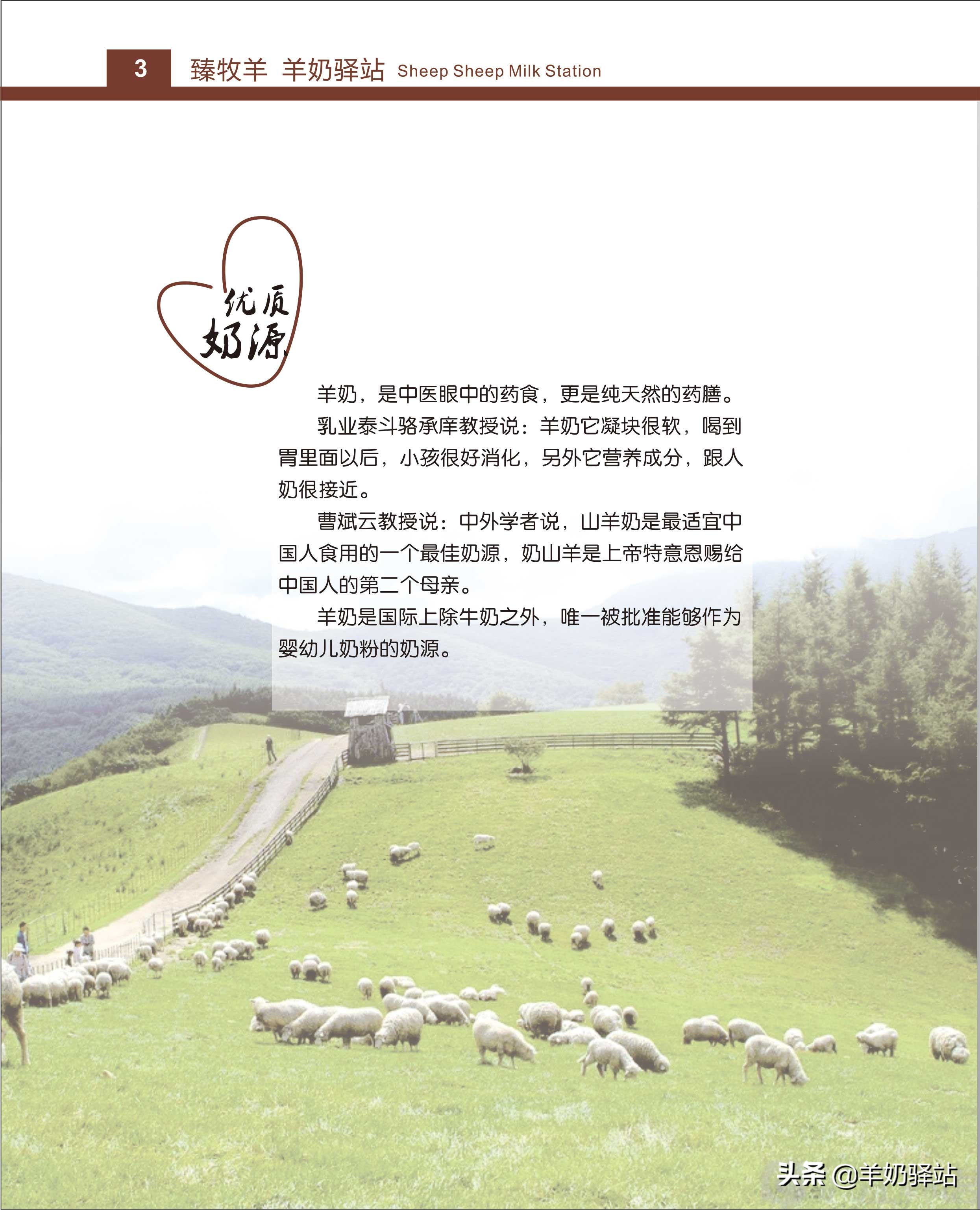 羊奶加盟招商模板,羊奶加盟哪个平台好