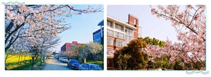 武汉外语外事职业学院毕业,外语外贸职业学院大一学妹