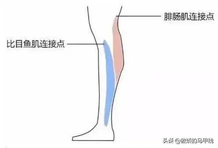 跳绳和跑步哪个会让小腿变粗,运动小腿越来越粗壮