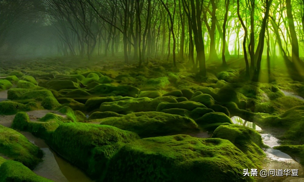 道德经四句话点破其中奥秘,道德经一开篇就是道可道非常道