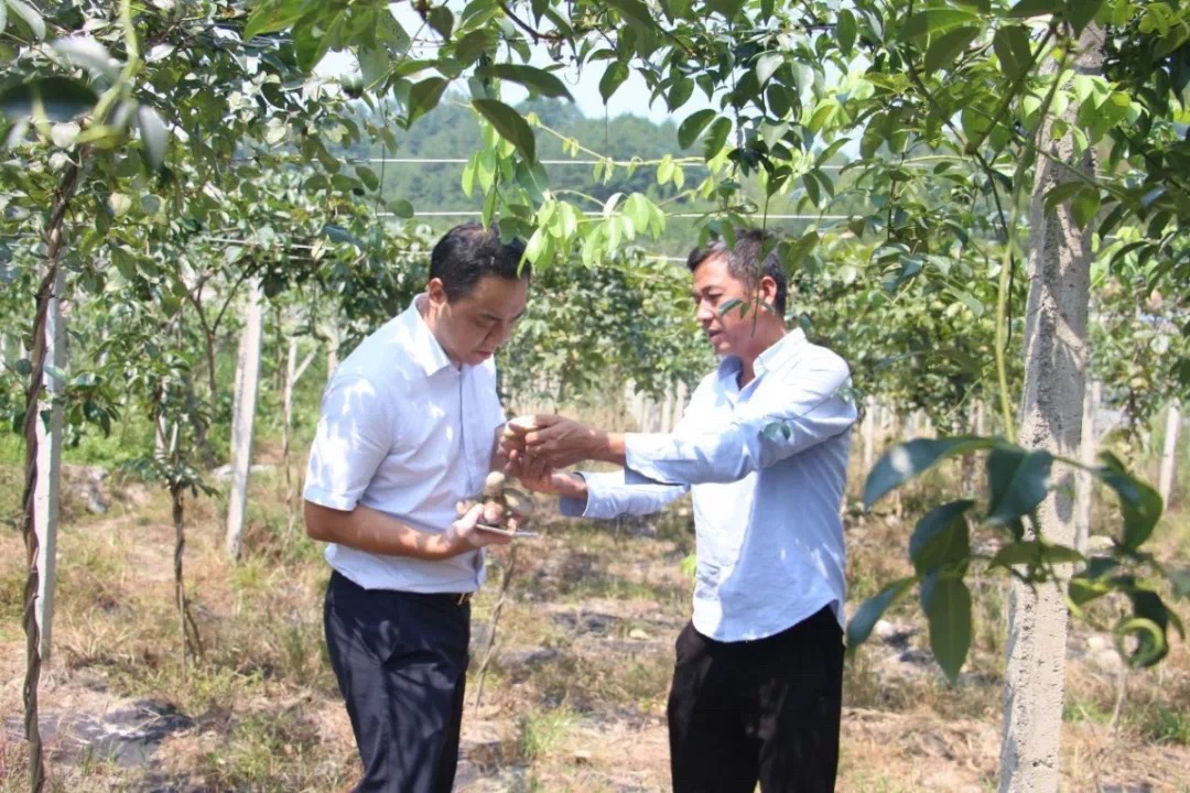 桂林国民村镇银行有限责任公司,桂林市区国民村镇银行有几家