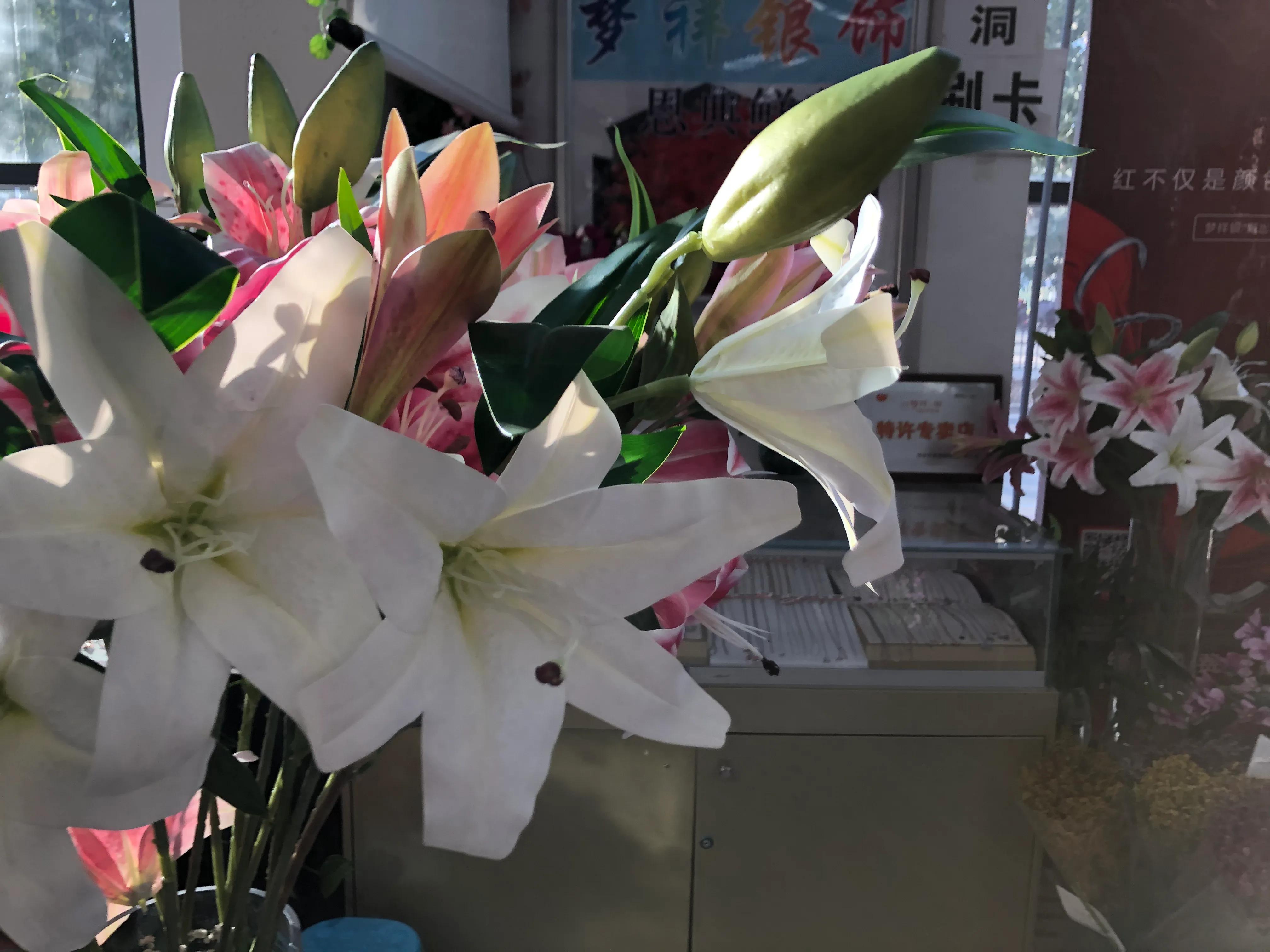 平顶山河滨公园旅游攻略,平顶山森林公园游记