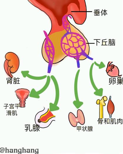 漫画不孕不育科普,不孕不育科普漫画