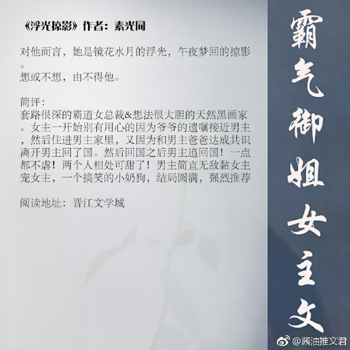 强推超好看言情,女主霸气御姐型的小说