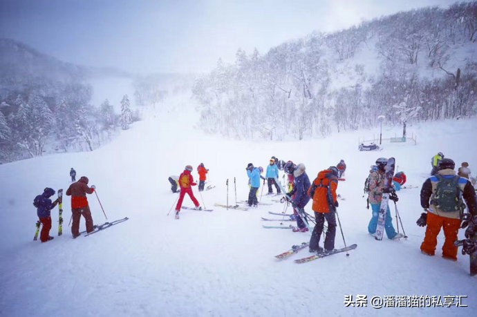 雪国和冰雪,雪国旅游