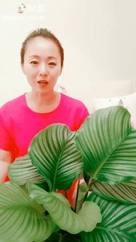 沉迷“花花世界”的41岁妈妈，她凭什么活得那么爽？