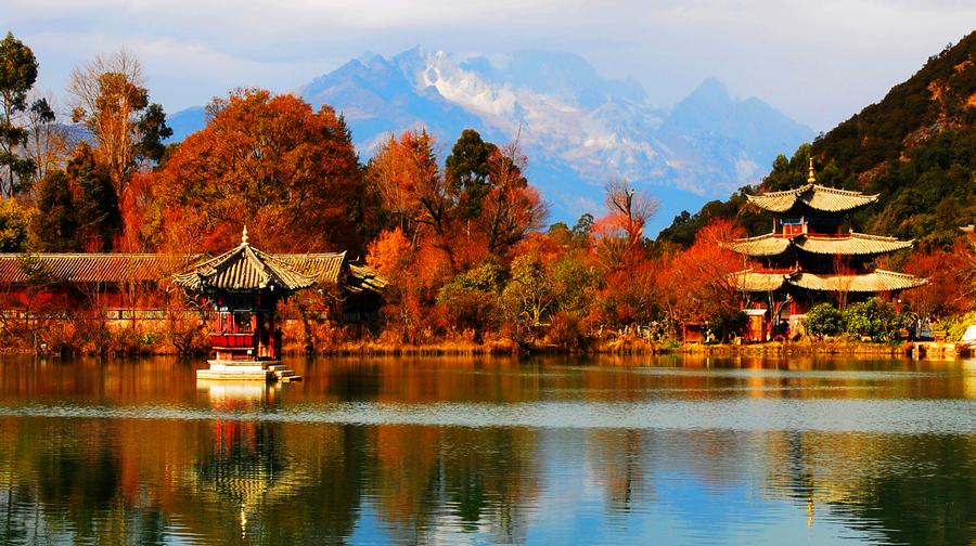 云南味道稀豆粉,做云南稀豆粉