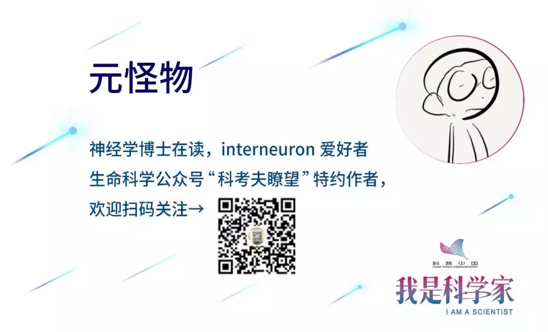 让自闭症小鼠告别“社恐”，仅需一瓶乳酸菌？