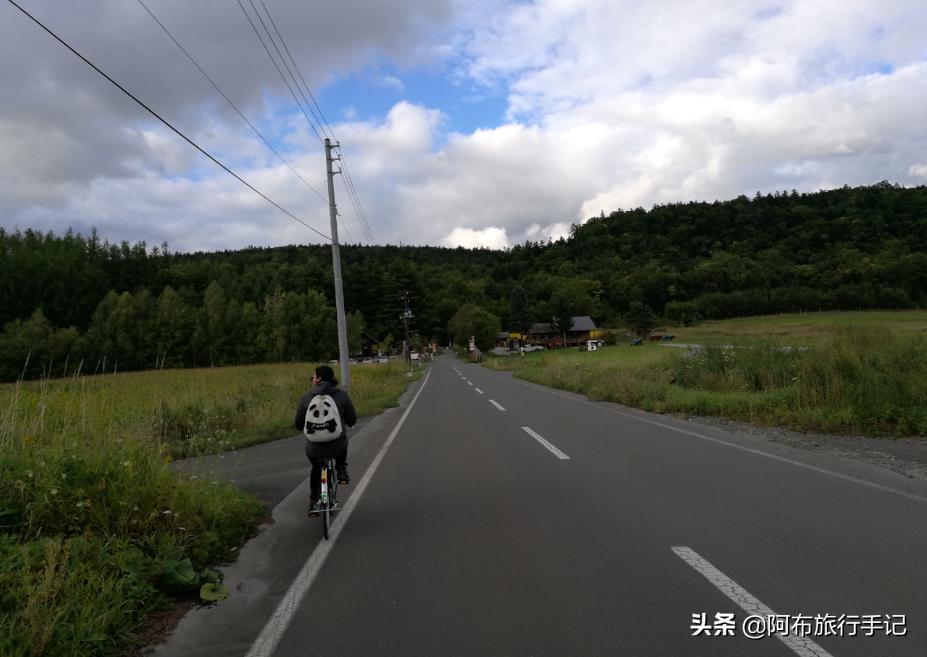 日本花海,日本30个最美花海