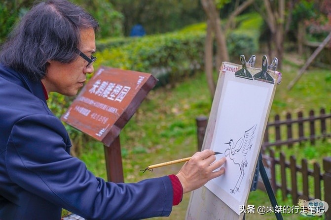 江南最大湿地风景区,不是西溪湿地,荣获中国最美湿地却少有人知