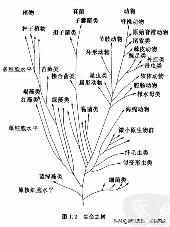 100个思维模型目标管理,100种思维模型具体是哪些