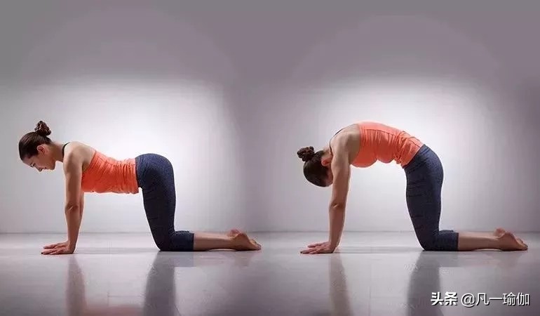 十女九寒湿一招教你祛湿气,女人改善体寒宫寒动作