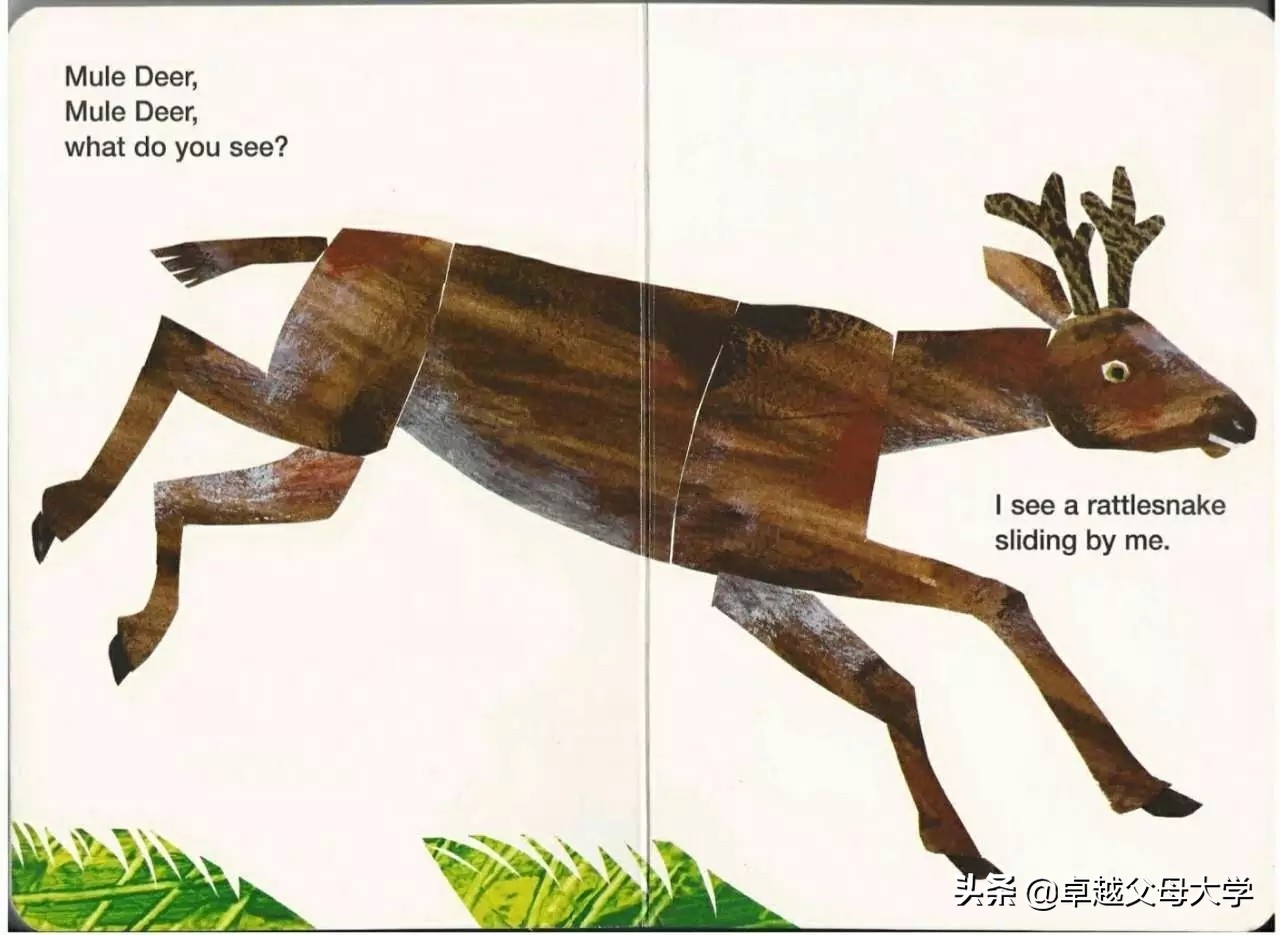 babybear英文绘本,babybearwhatdoyousee绘本