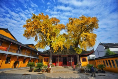 苏州古城一日游最佳路线,苏州古城线路攻略